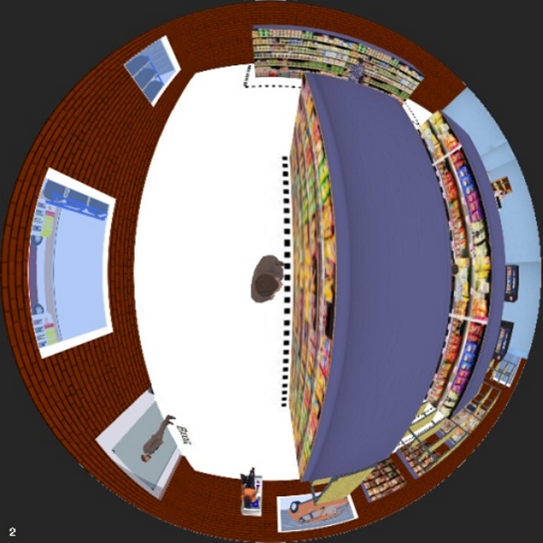 Observation zone from the top fisheye camera